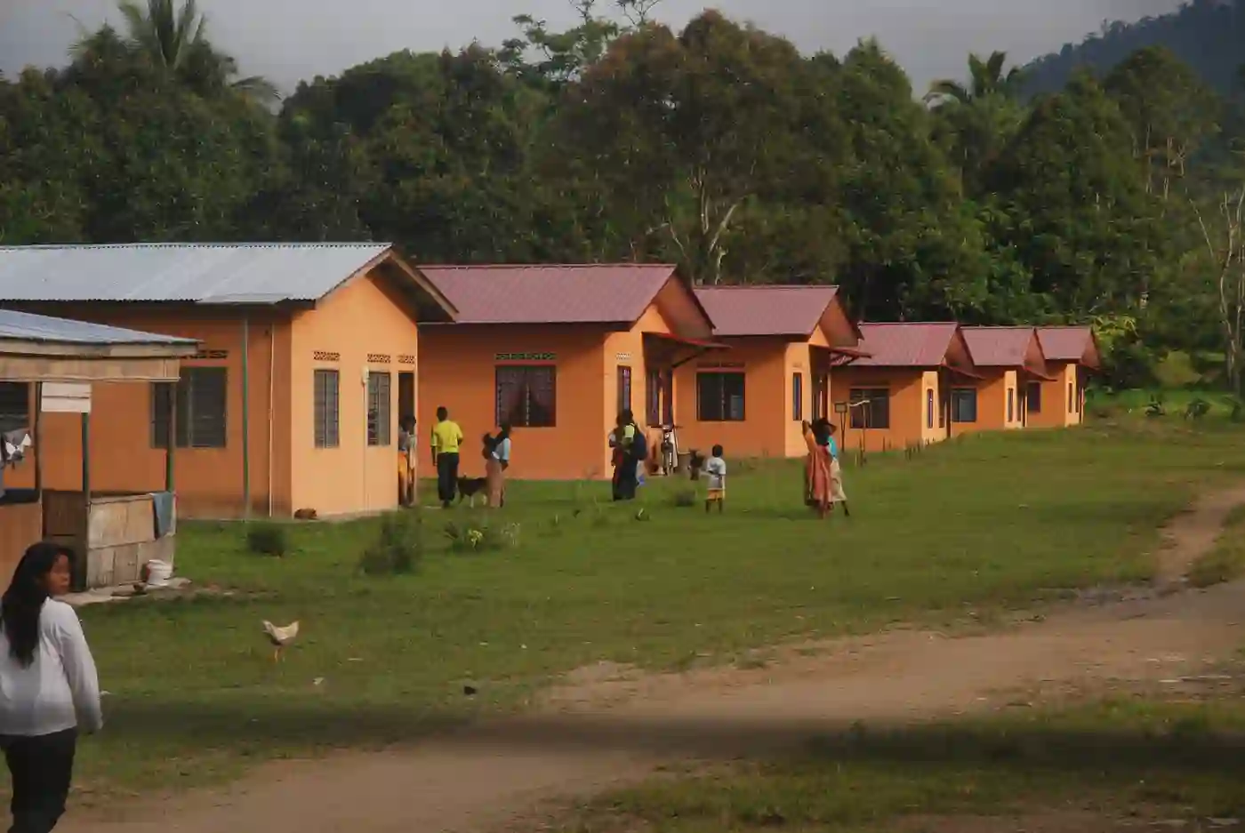 Subsidy homes in a Semai village, in Perak